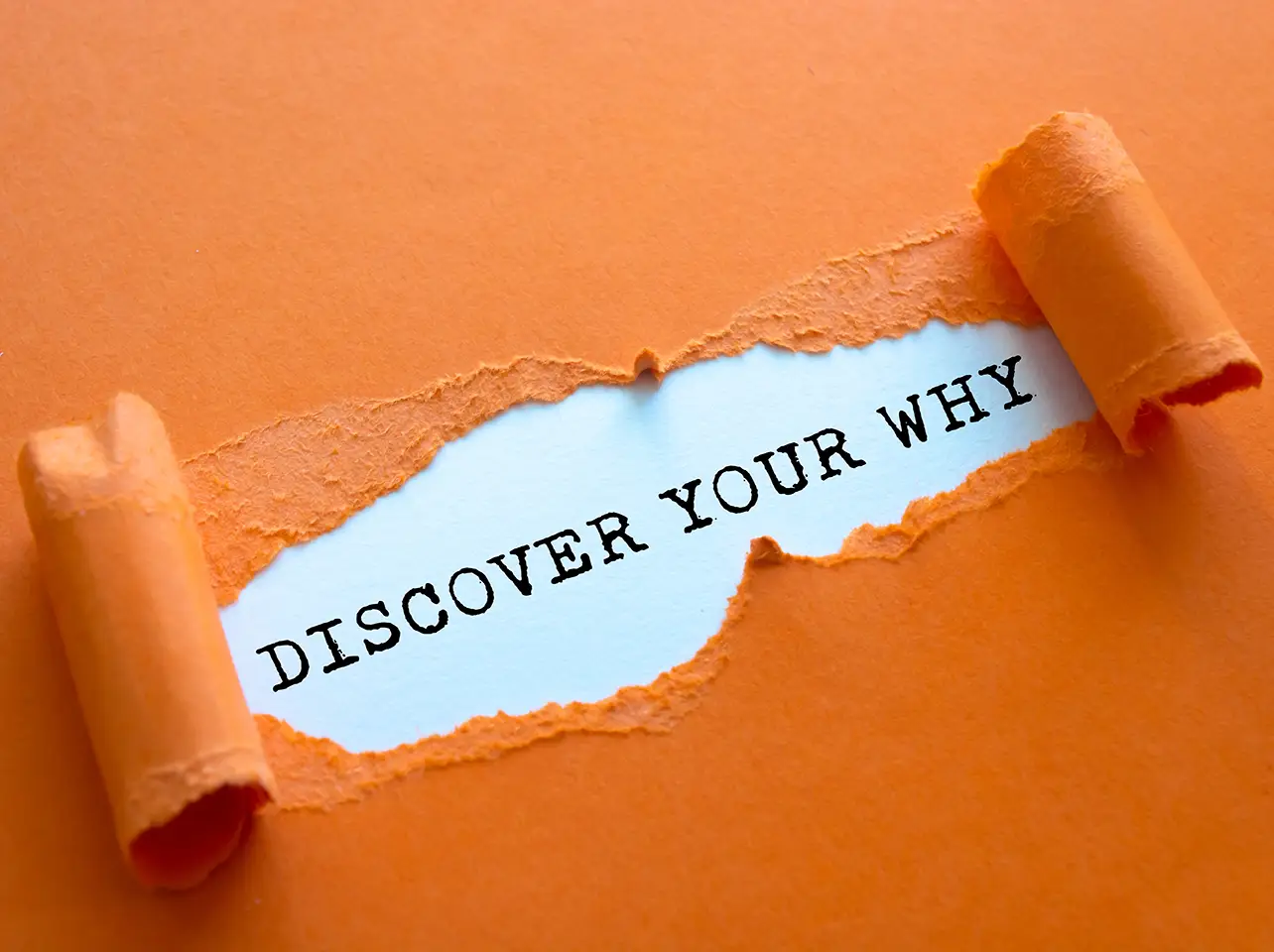 Discover your Why with Why the brand